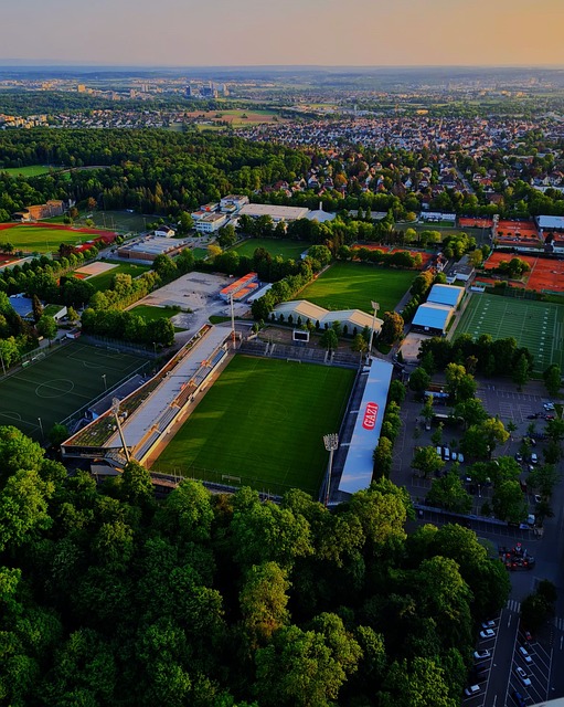 了高要求 了高要求