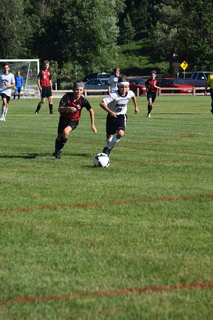 种高度的相 种高度的相