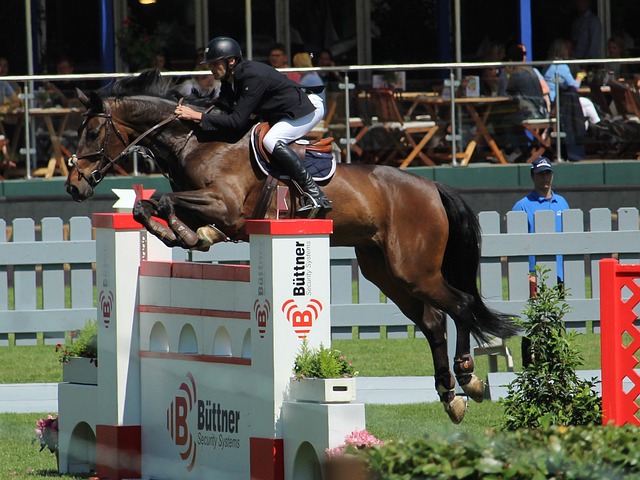 亚冠精彩对 亚冠精彩对