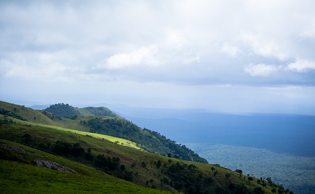 火箭的争冠 火箭的争冠