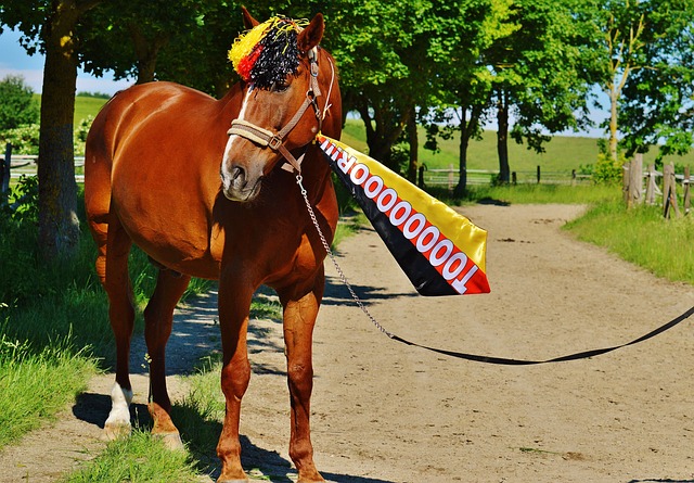 让他有信心 让他有信心