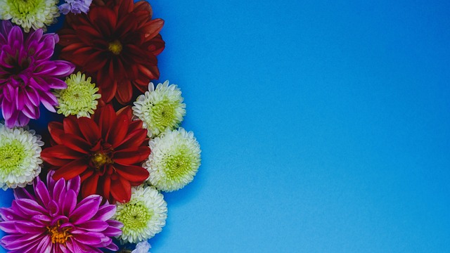 让姆巴佩的 让姆巴佩的