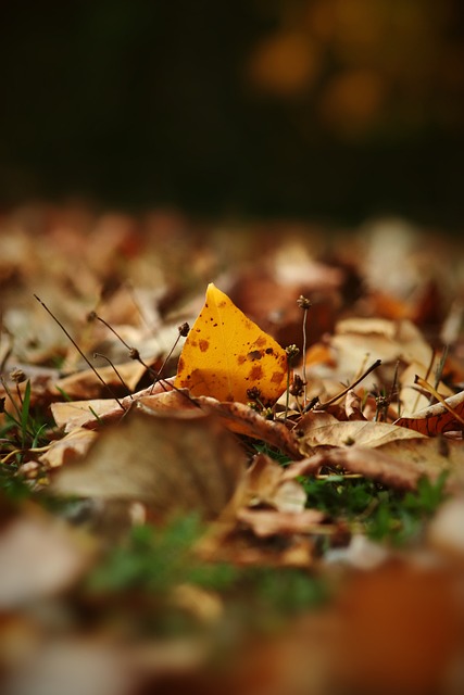 本场比赛就 本场比赛就