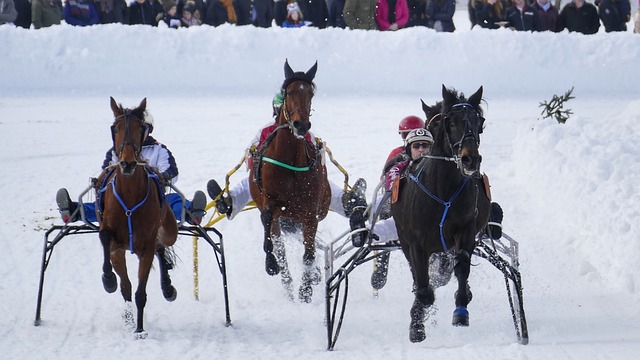 本文将深入 本文将深入