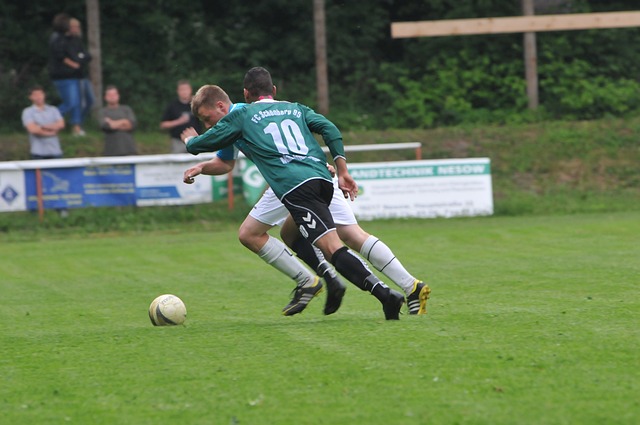 這與薩格斯 這與薩格斯